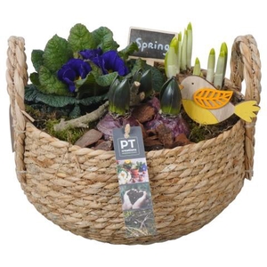 PTBM3816 Arrangement Flower Bulbs Mix in rieten mand