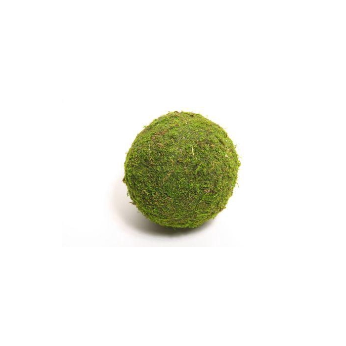 <h4>Ball Asia Moss D8</h4>