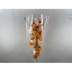 Dried Bougainvillea X5 55cm Orange Bunch