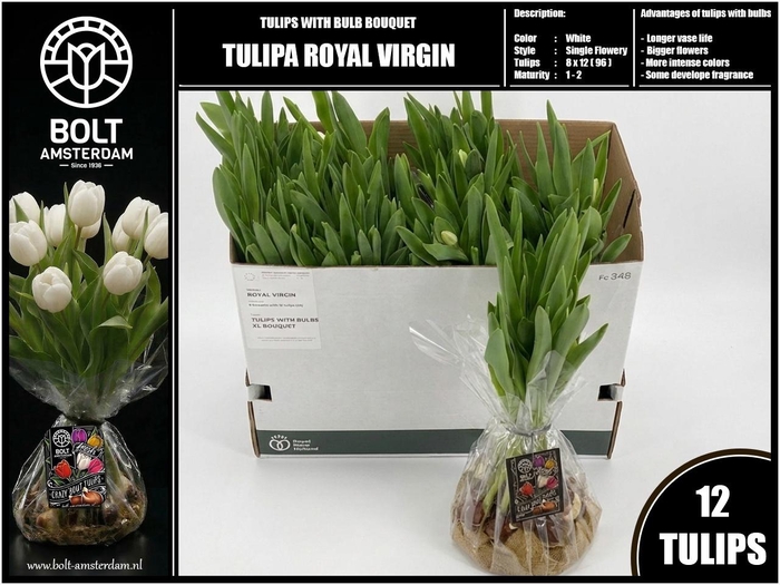 <h4>TU EN ROYAL VIRGIN</h4>