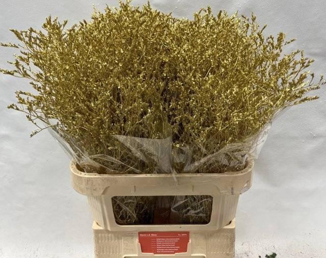 <h4>LIM OV KLB H%</h4>