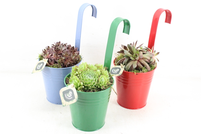<h4>arr4 Semp JS - Zink balkon hanger mix x6</h4>