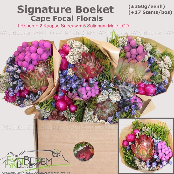 <h4>PROTEA PER BOS</h4>