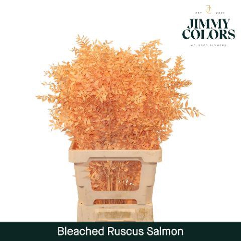 <h4>Gebleekt Ruscus Italiaans L70 Klbh. Salmon</h4>