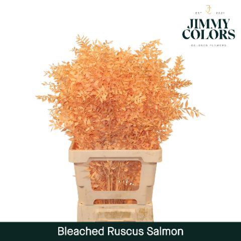 <h4>Ruscus Bleached Italy L70 Salmon</h4>