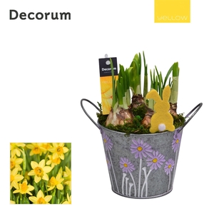 Narcis Spring Bucket Maxi HL18545 [YELLOW]