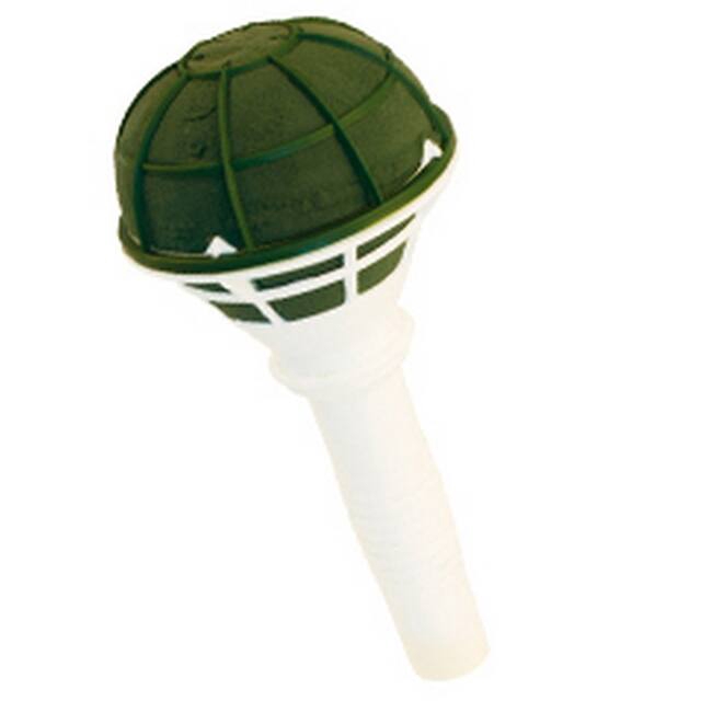 <h4>Oasis lady II 7cm (dichte onderkant)</h4>