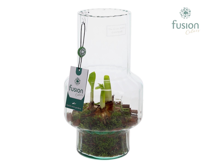 <h4>Green BottleMia Medium met Narcis</h4>