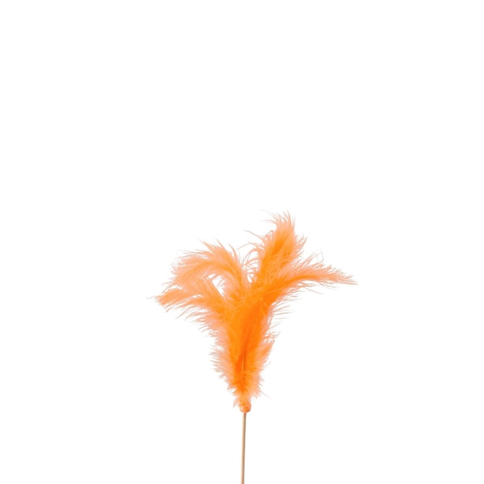 <h4>Bijsteker 50cm Veren 10cm</h4>