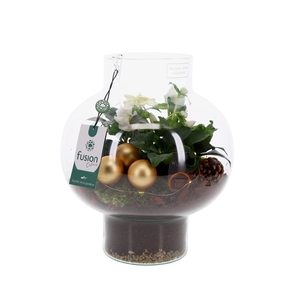 Green Bottle Laura Medium met Kerstarrangement met LED