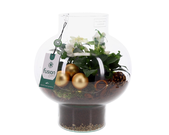 <h4>Green Bottle Laura Medium met Kerstarrangement met LED</h4>
