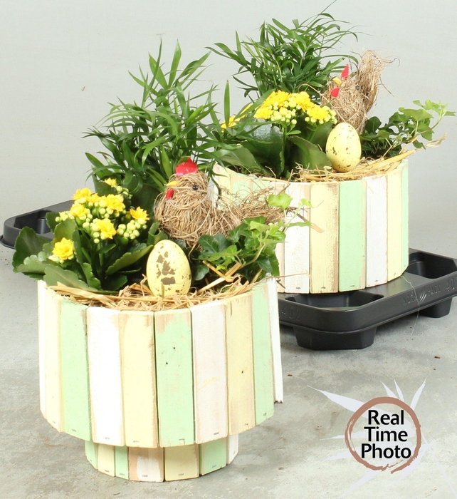 <h4>ARR KAMERPL</h4>