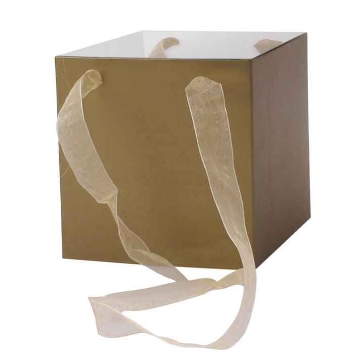 <h4>Glossy 16*16*16cm</h4>