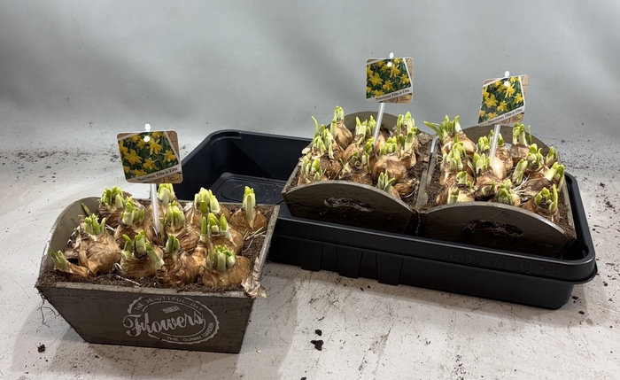 <h4>ARR N TETE A TETE</h4>