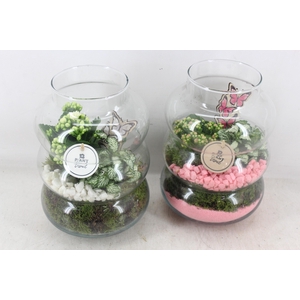 arr2 PL - Glas ringvaas - roze/wit