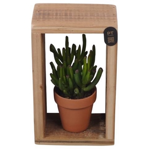PTSUT8934 Arrangement zomer in frame met terracotta