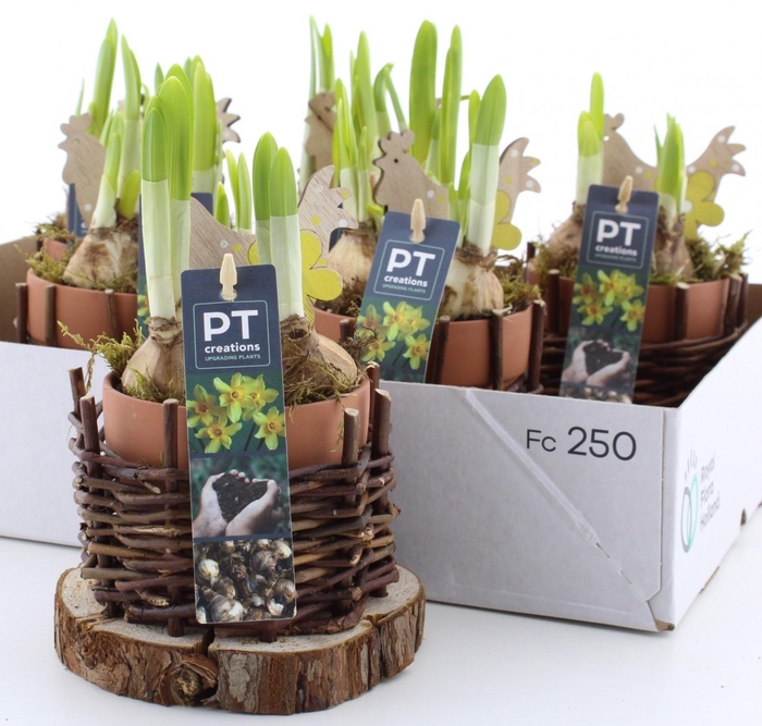 <h4>ARR N TETE A TETE</h4>