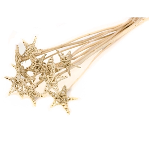 Lata St O/s Fl Nat. Look