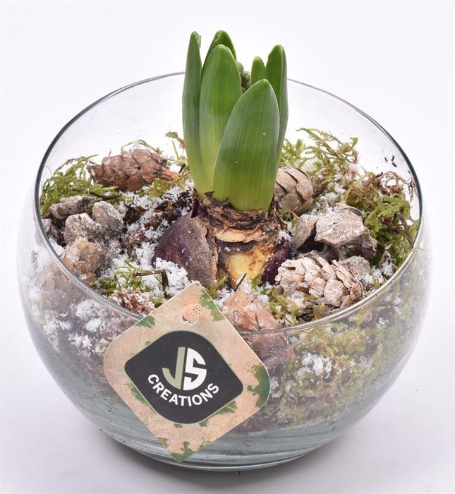 <h4>Glas bol schaal schuine top 15cm</h4>