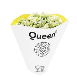 KALAN CALAN LUIJK PARIS P6