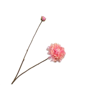 Dahlia 86cm roze 24/ds