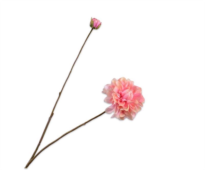 <h4>Dahlia 86cm roze 24/ds</h4>