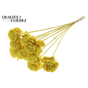 Shola Beauty Rose 6cm on stem Yellow