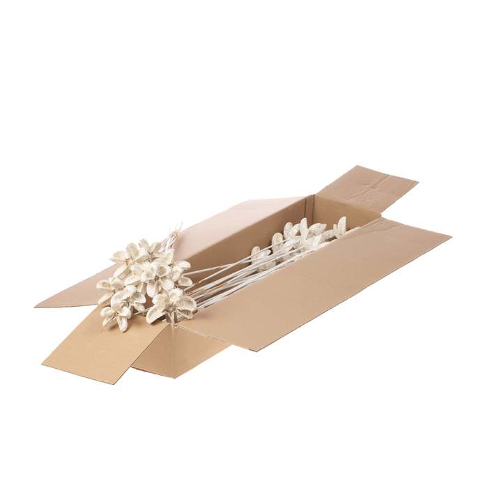 <h4>Cartoos Fl O/s 10pc Sb Wh</h4>
