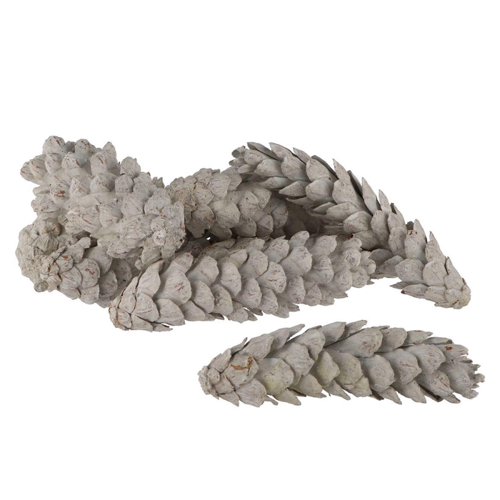 <h4>Nature Strobus Mix Stonewash P/30</h4>