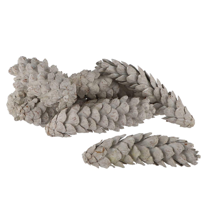 <h4>Nature Strobus Mix Stonewash P/30</h4>