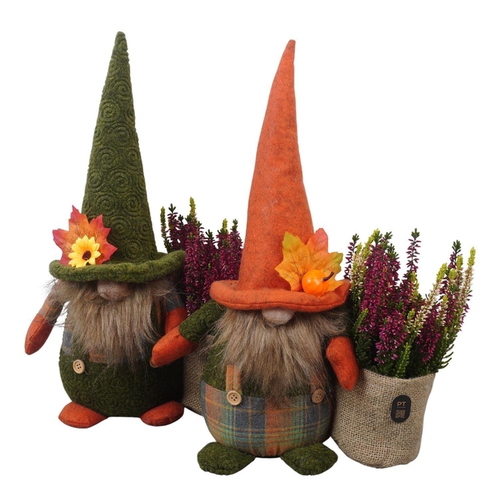 <h4>Arr.   Tuinplanten L%</h4>