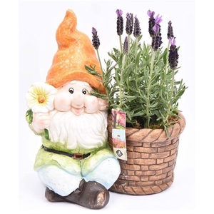 Cement kabouter met bloem 25x18.5cm