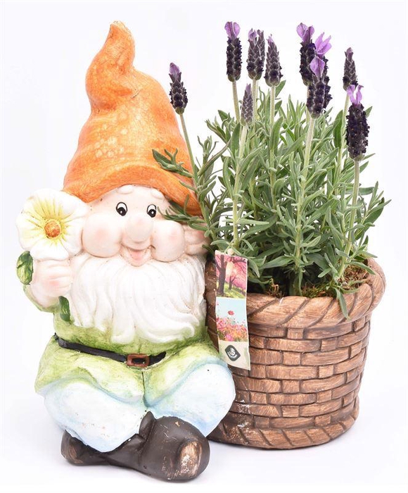 <h4>Cement kabouter met bloem 25x18.5cm</h4>