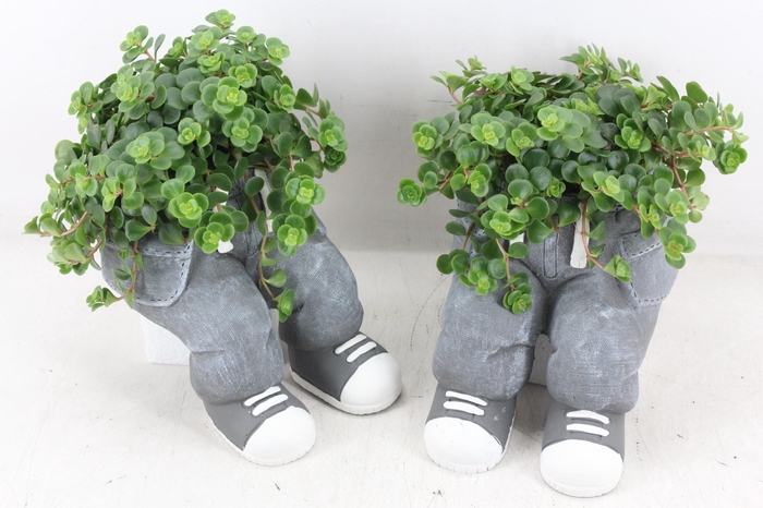 <h4>arr3 SN - Ker. spijkerbroek wallsit</h4>