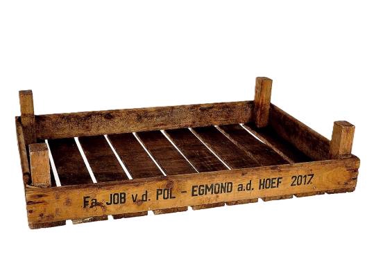 Crate Tulips L75W50H17