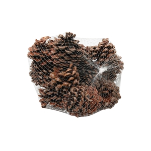 Pinecone Pinea 15 Pcs L9