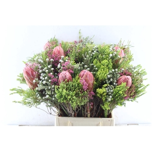 Protea Boeket