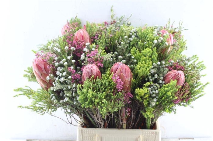<h4>Protea Boeket</h4>