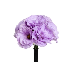 LISIANTHUS FLOR MEGALO III LAVENDER