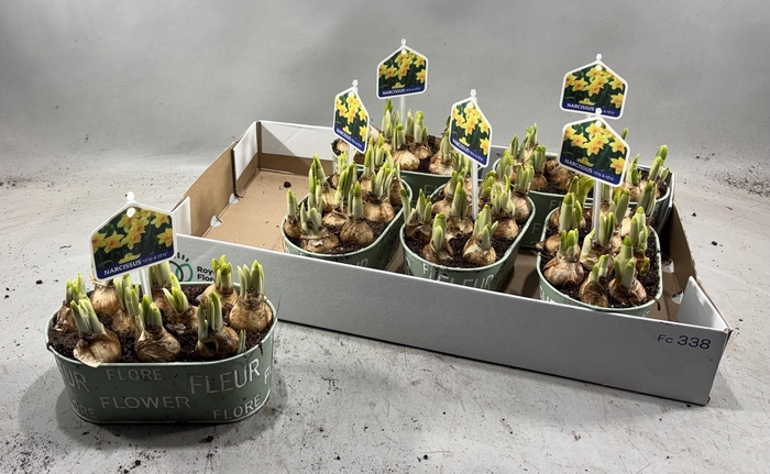 <h4>ARR N TETE A TETE</h4>