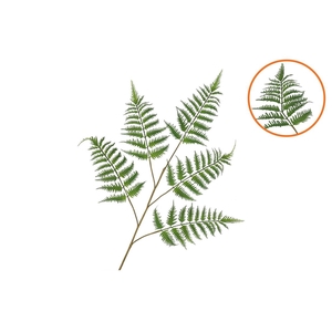 Silk Fern Dauallia Green 107cm