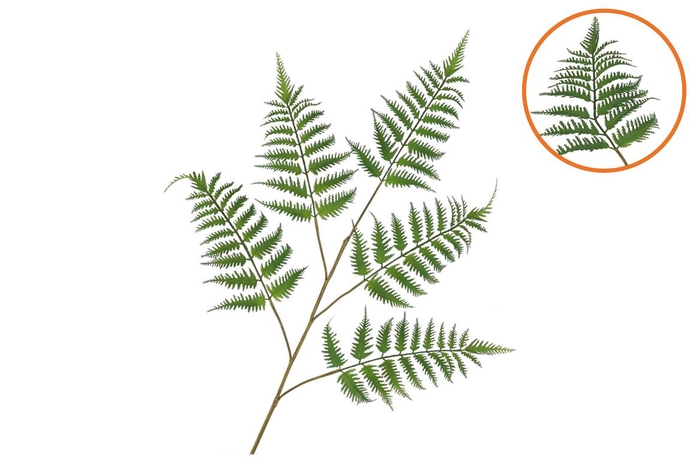 <h4>Silk Fern Dauallia Green 107cm</h4>