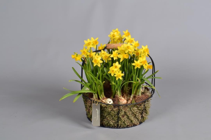 <h4>Metaal rek met Narcis Tat</h4>