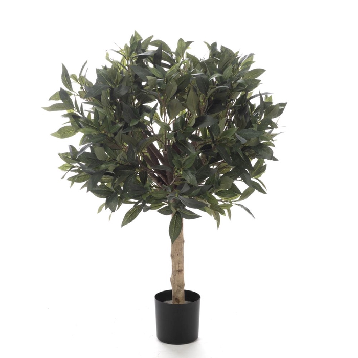 <h4>Af Laurus Nobilis Ball Pot H80</h4>