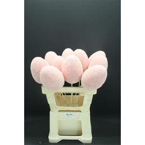 A Eieren Foam Rosa 996