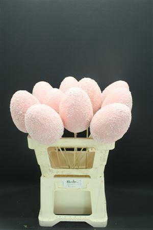 <h4>A Eieren Foam Rosa 996</h4>