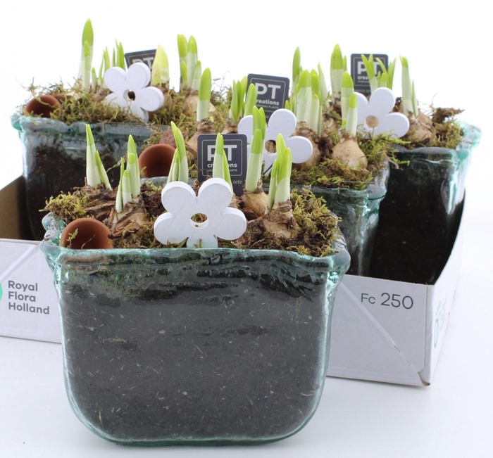 <h4>ARR N TETE A TETE</h4>