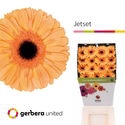 <h4>Ge Gr Jetset Diamond United</h4>