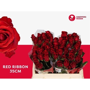 R GR RED RIBBON