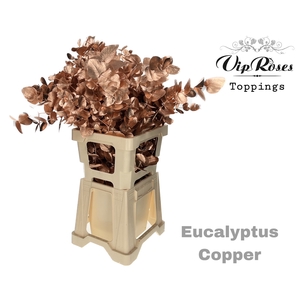 EUCA CINEREA COPPER 300GR